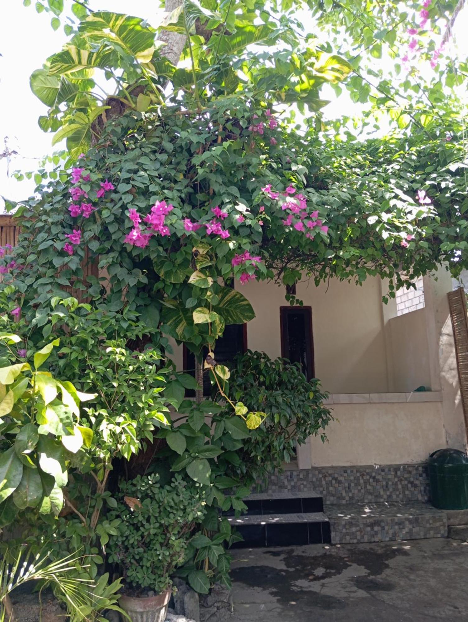 Pedek Homestay Прайя Экстерьер фото