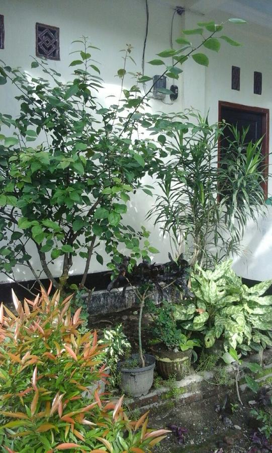 Pedek Homestay Прайя Экстерьер фото